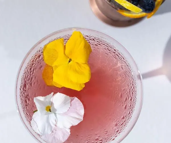 Hotel Sheraton Nicea